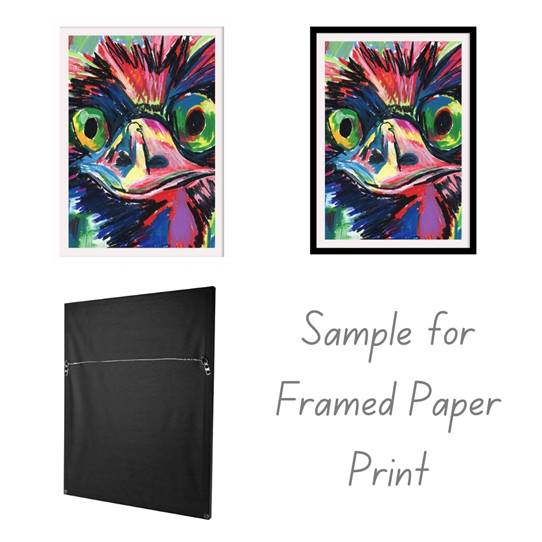 Alpaca - Art Prints