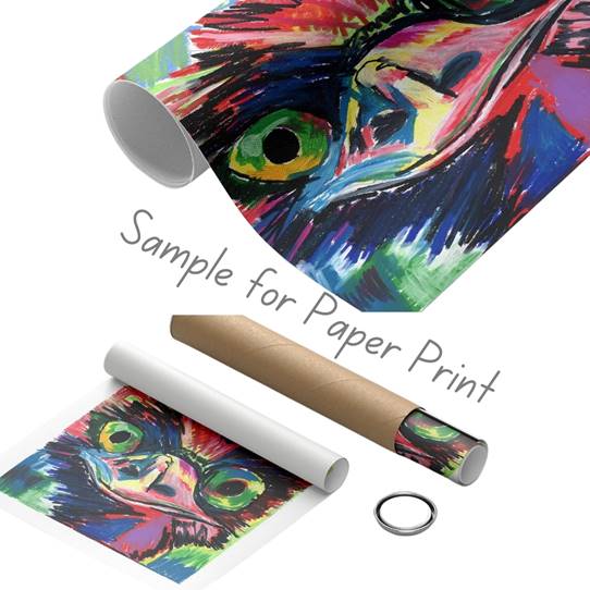 Alpaca - Art Prints