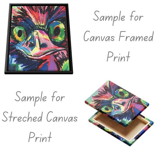 Alpaca - Art Prints